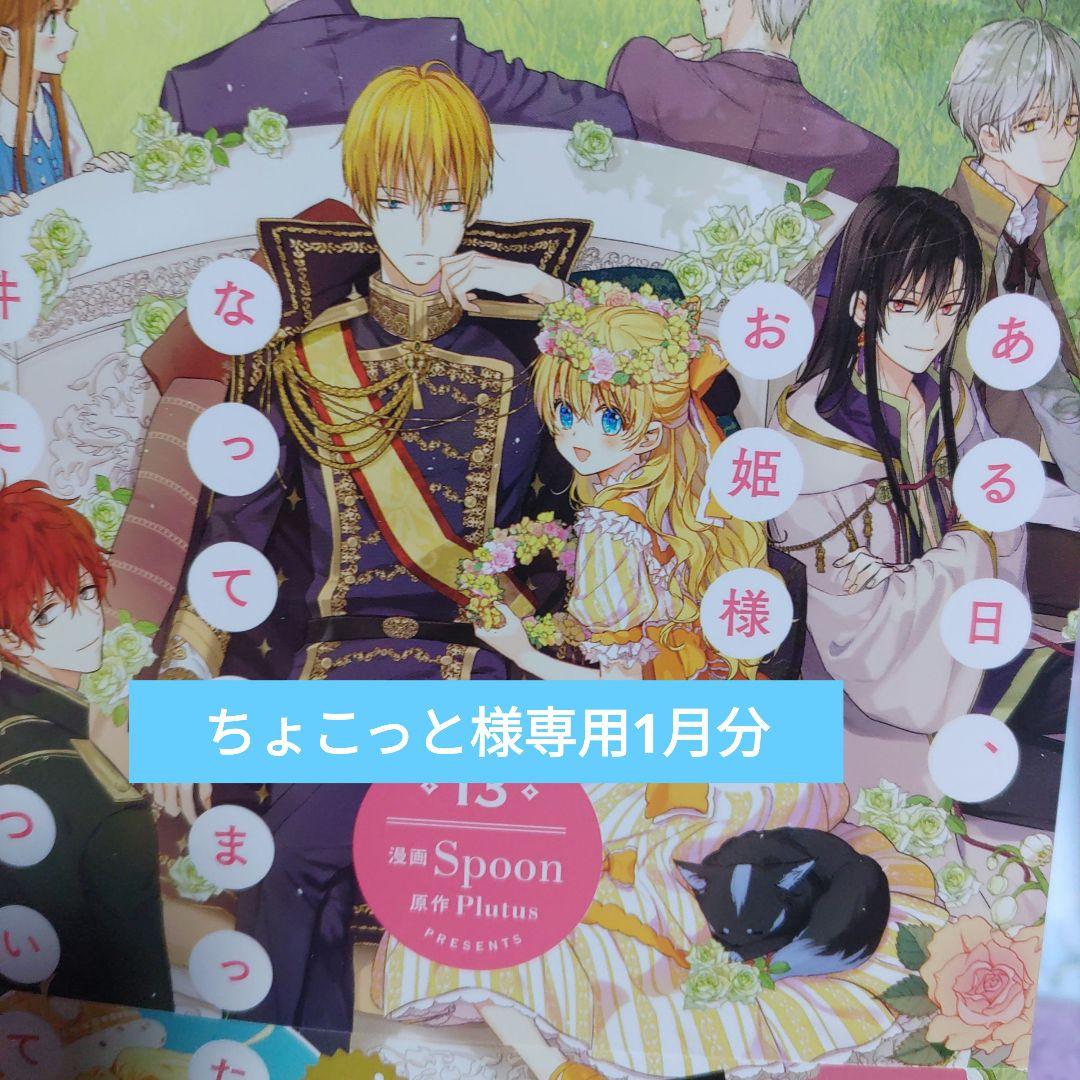 ちょこっと1月分