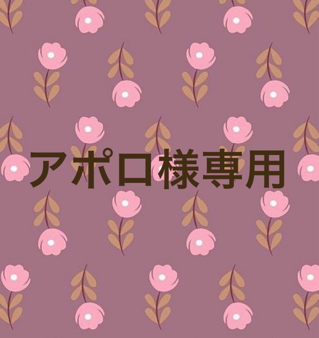 看護師国家試験　単語帳フルセット