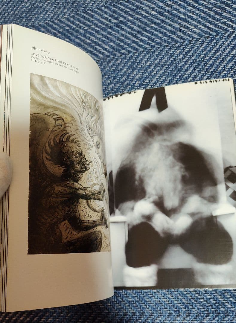 100 ARTISTS SEE SATAN アートブック☆洋書です☆