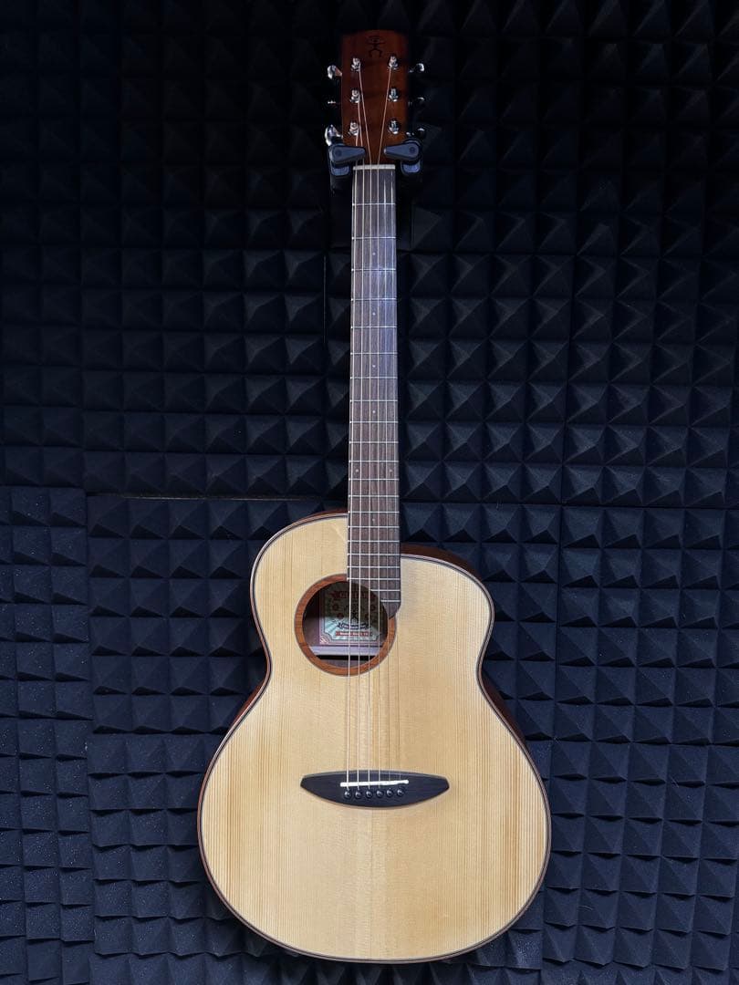 aNueNue L10E (エレアコモデル)