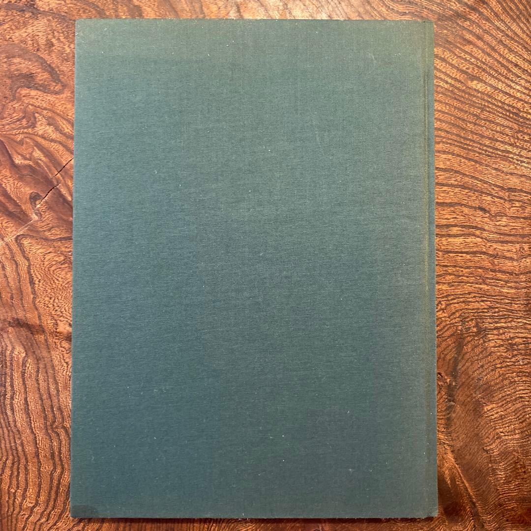 Terri Weifenbach Lana テリ・ワイフェンバック 写真集