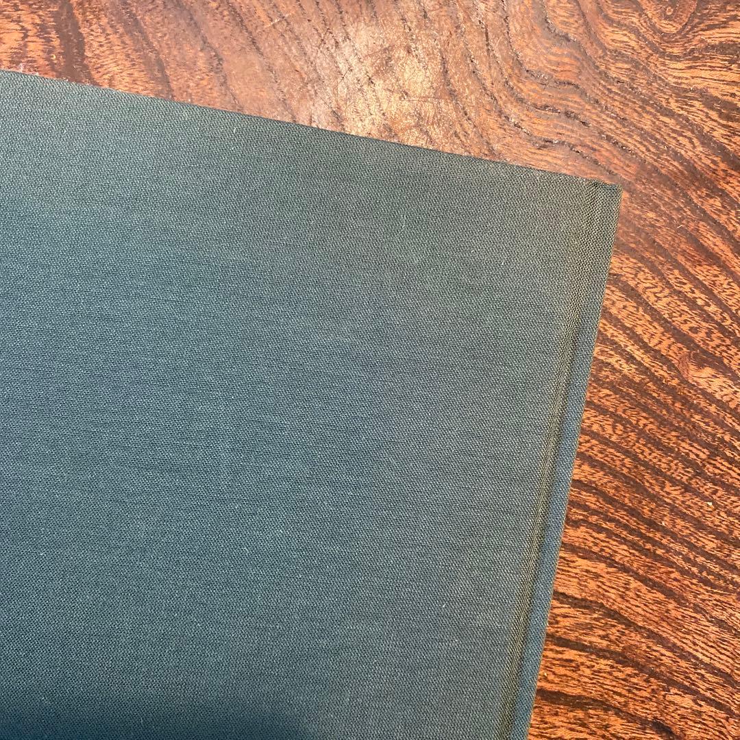 Terri Weifenbach Lana テリ・ワイフェンバック 写真集