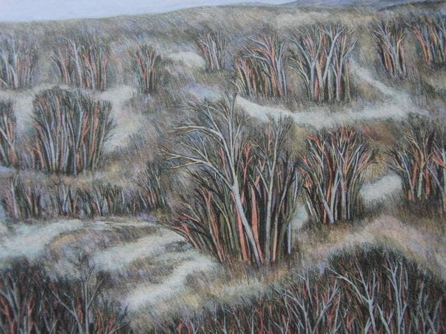 香川亮、【風の銀林】、希少な額装用画集より、新品額装付