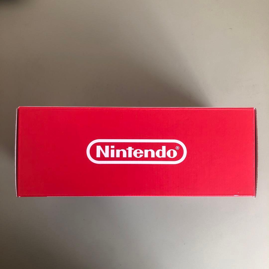 Nintendo Switch Lite （充電アダプタ&外箱&ソフト付き）