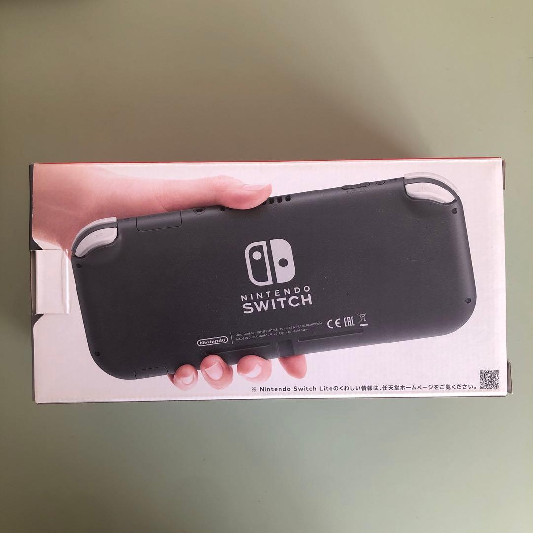 Nintendo Switch Lite （充電アダプタ&外箱&ソフト付き）