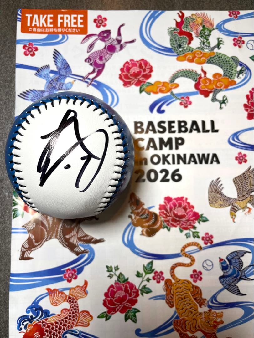 日本ハムファイターズ 伊藤大海 直筆サインボール 2026沖縄キャンプ