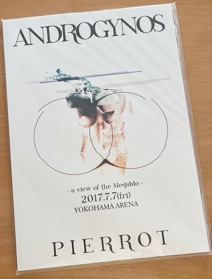 PIERROT DIR EN GREY ANDROGYNOS 豪華盤 DVD
