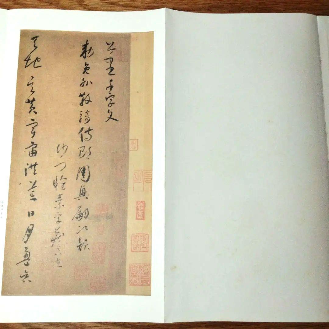 原色法帖選 王羲之尺牘集 孟法師碑 書譜 自叙帖 草書千字文 5冊セット 二玄社