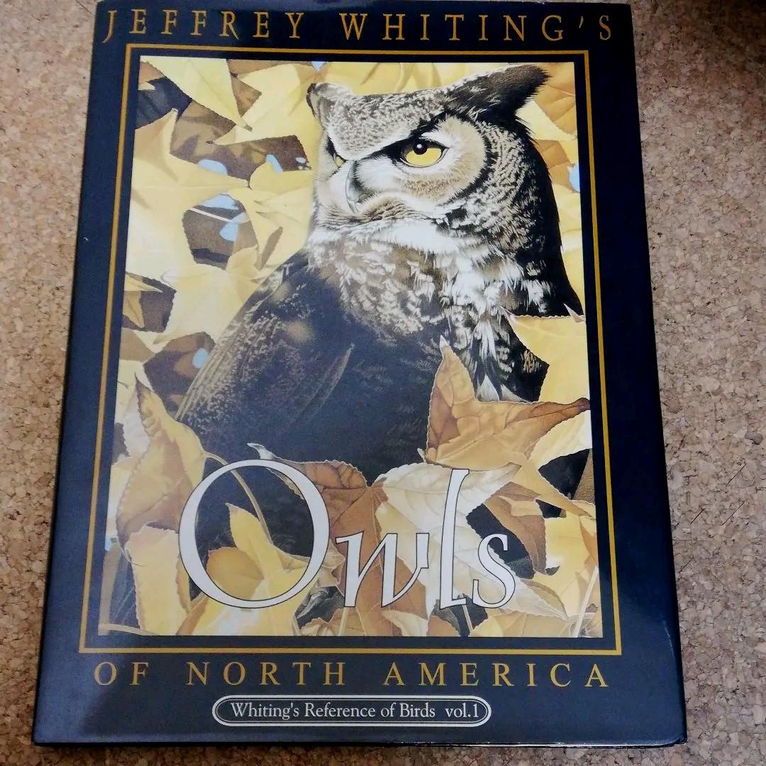 洋書 Jeffrey Whiting's Owls of North America
