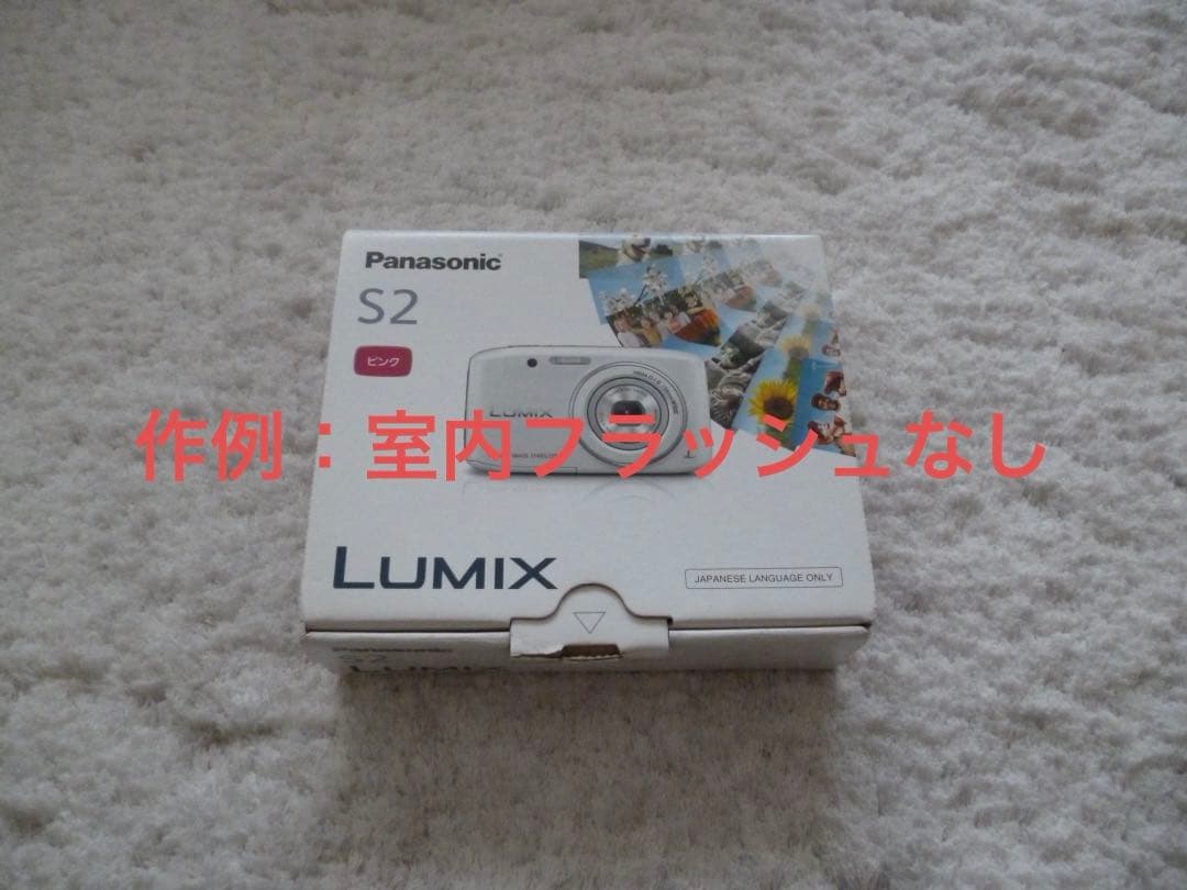 美品【動作確認済】Panasonic パナソニック LUMIX DMC-S2