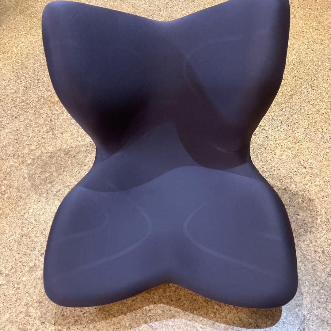 Style PREMIUM スタイルプレミアム　姿勢ケアシート