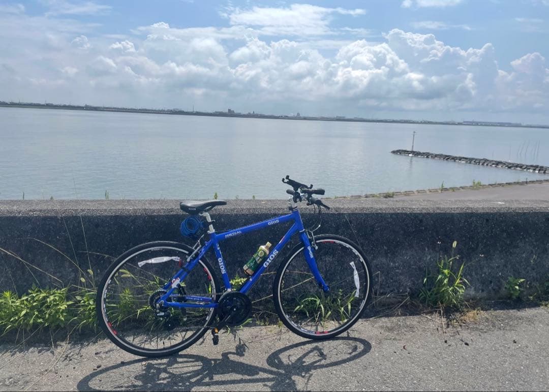 名古屋周辺 手渡し希望 2022年製 サイズ460 GIOS MISTRAL