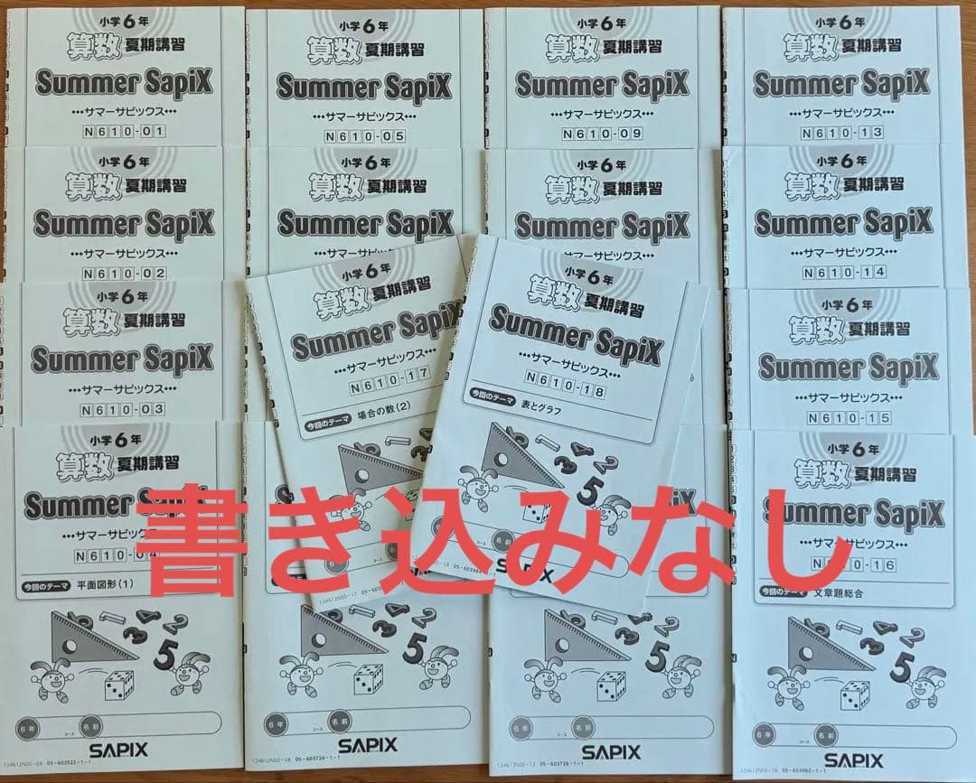 Summer SapiX 6年生 学習参考書 18冊セット