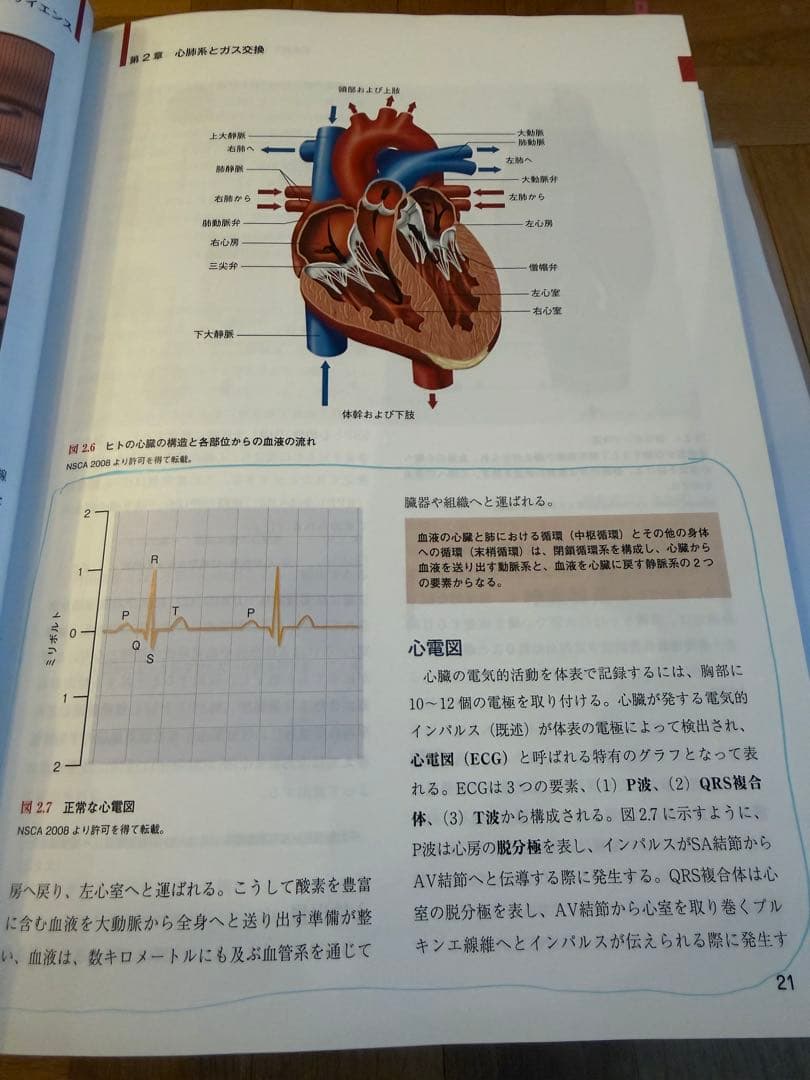 NSCAパーソナルトレーナーのための基礎知識 第2版