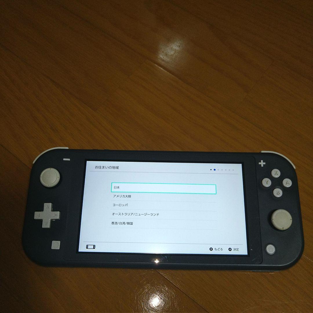 Nintendo Switch Lite グレー 充電器・ケース付き