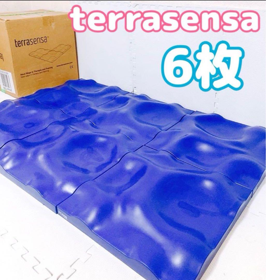 【残り5枚】テラセンサ コアバランス posse ドイツ製 正規品