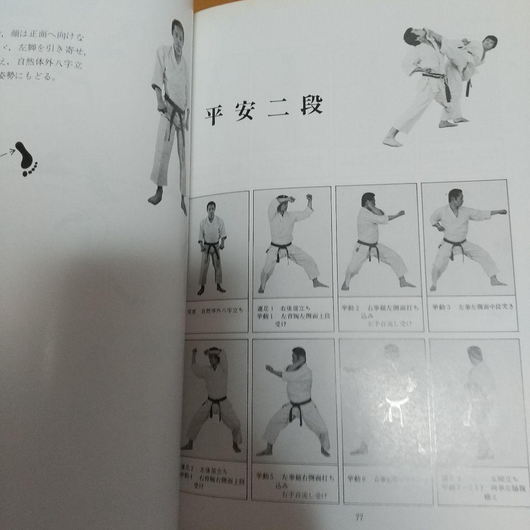 浅井哲彦 実技 空手道 基本形 空手 松濤館 拳法 武術 護身術