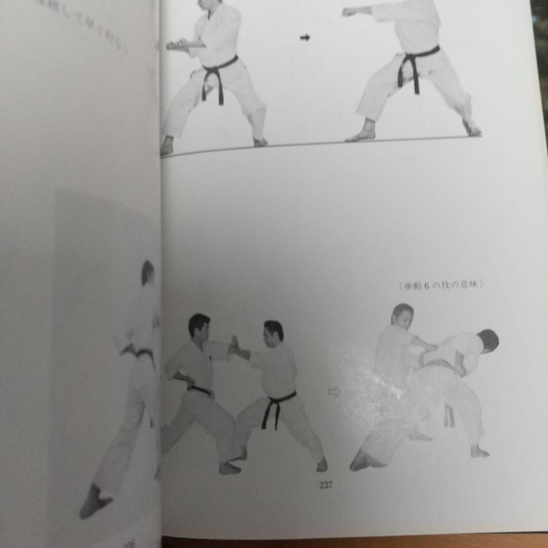 浅井哲彦 実技 空手道 基本形 空手 松濤館 拳法 武術 護身術