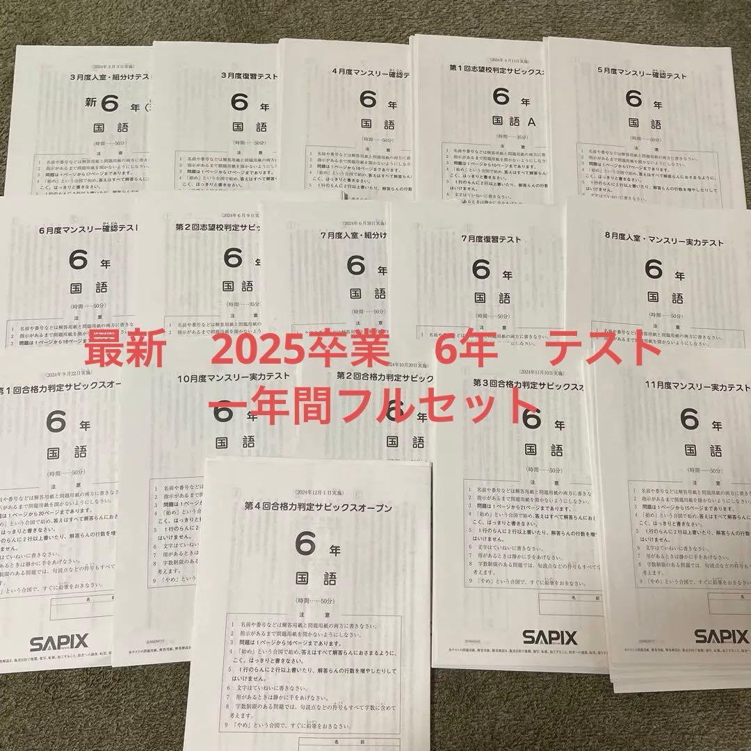 サピックス　6年　2024年間テスト14回　有名中学　志望校判定　合格力判定SO