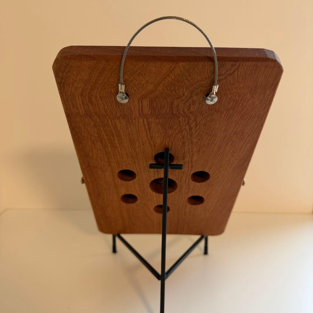 板付　ビカクシダ P. Willinckii Golden Boy