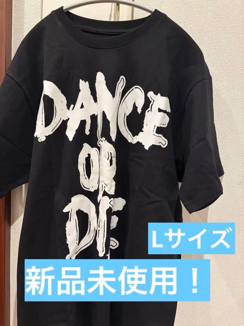 最安値LADY GAGA 2025/2026 ツアーTシャツ L