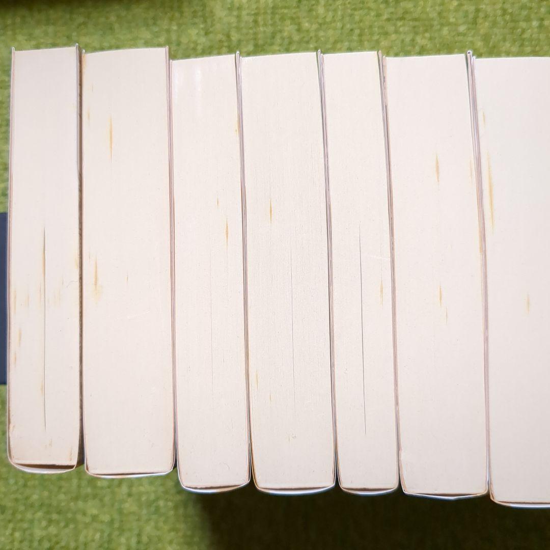 南総里見八犬伝 曲亭馬琴 岩波文庫 全10巻セット 箱入