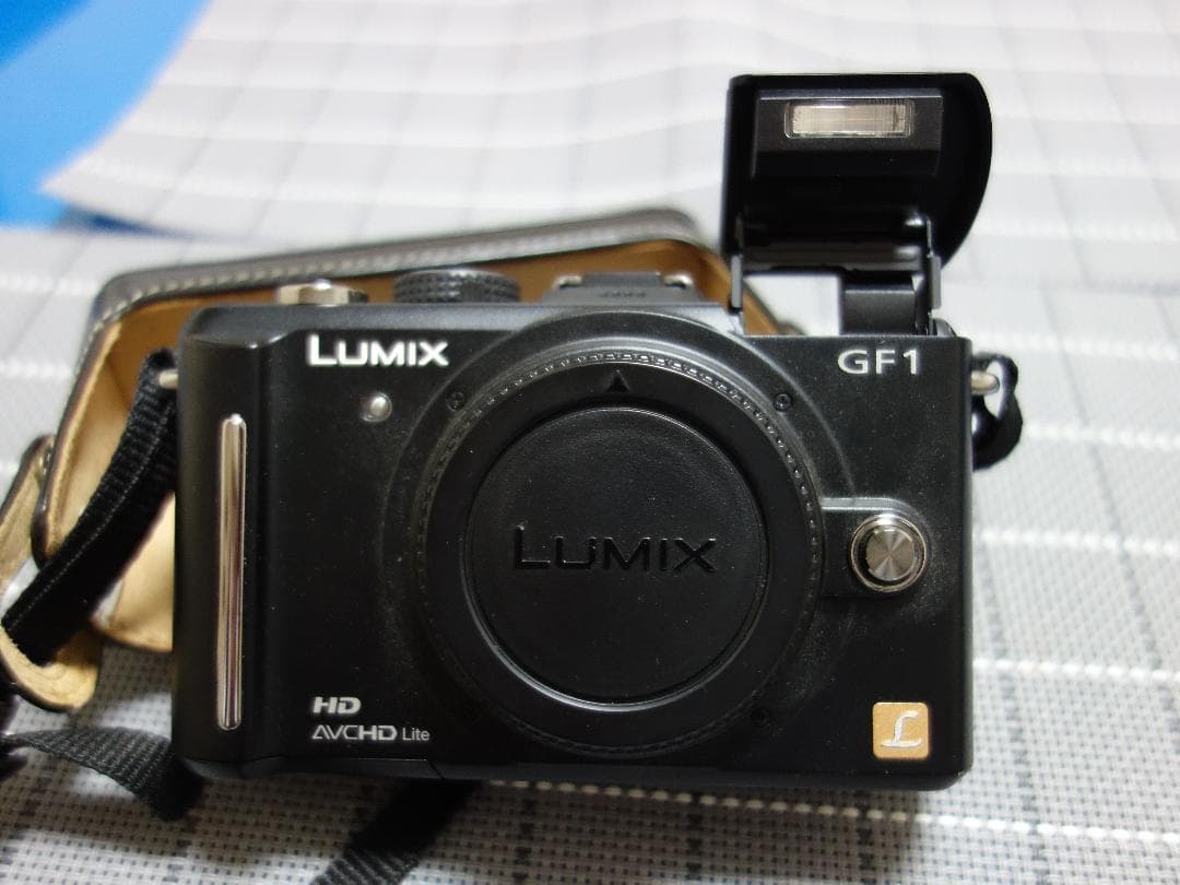 【超美品】panasonic DMC-GF1
