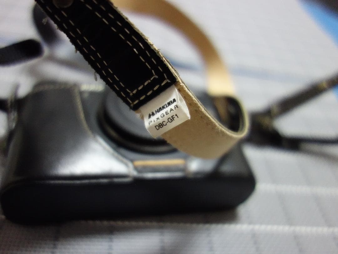 【超美品】panasonic DMC-GF1