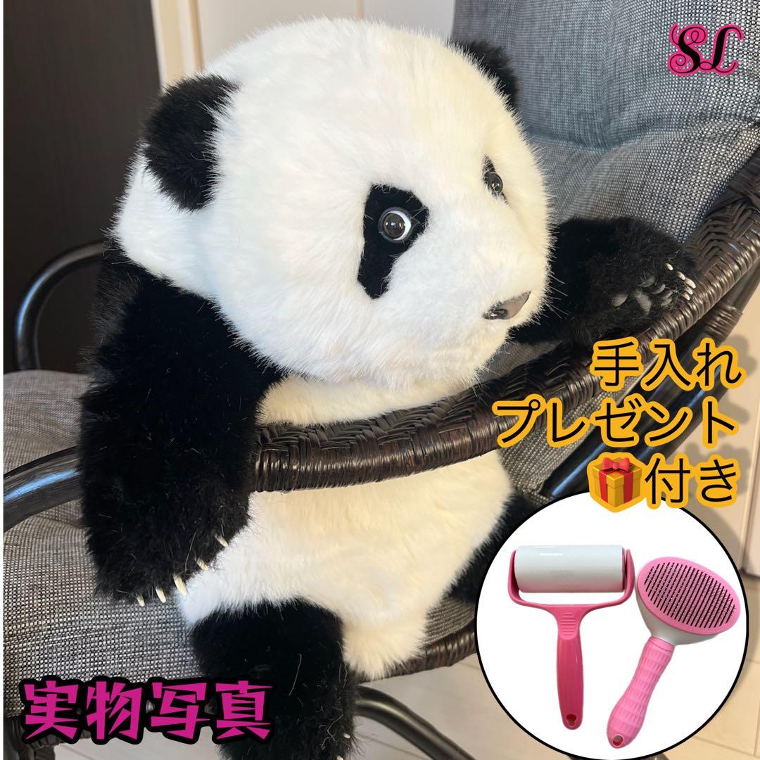 パンダ　リアルで癒される！5ヶ月齢パンダ ぬいぐるみ登場 ファファ まるで本物！
