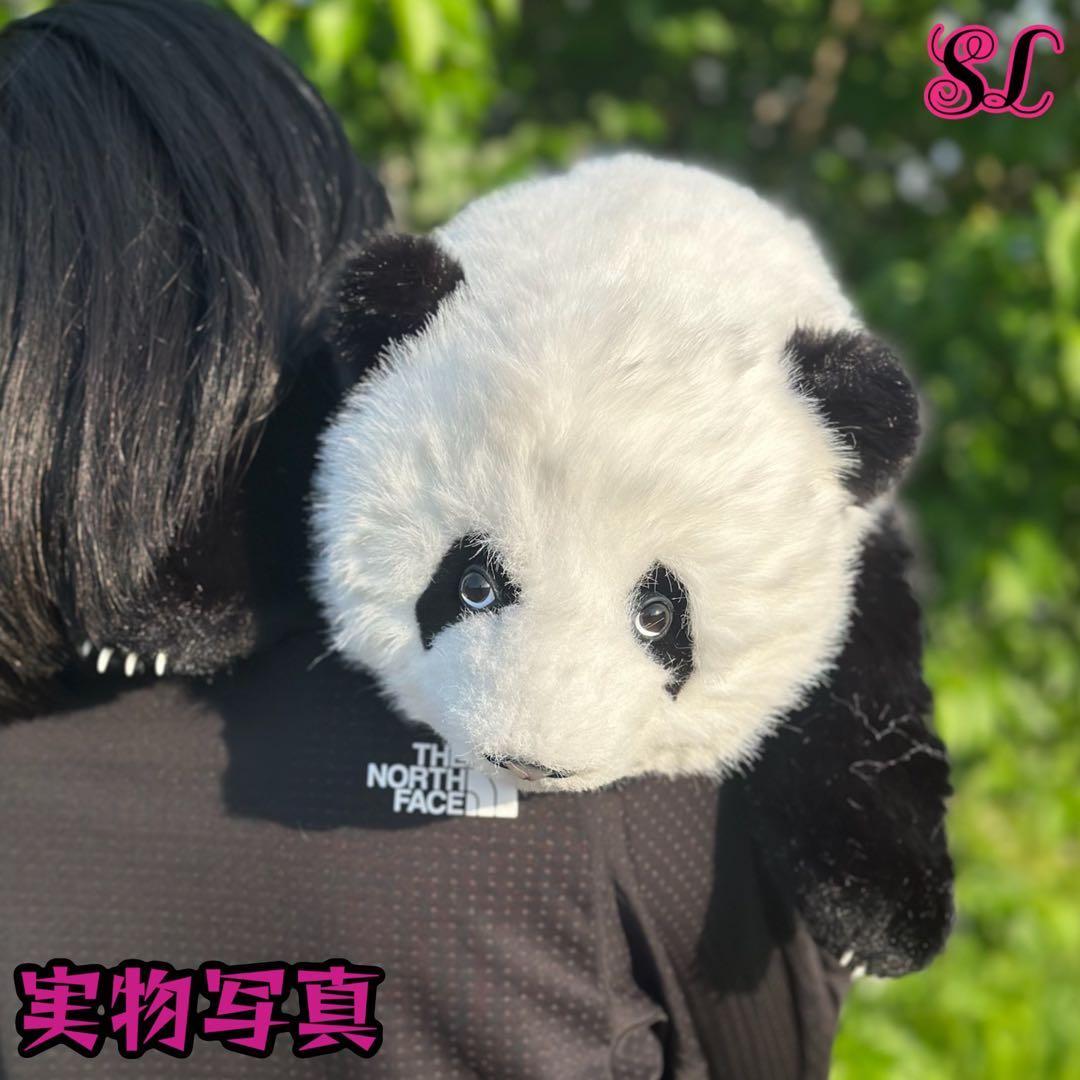 パンダ　リアルで癒される！5ヶ月齢パンダ ぬいぐるみ登場 ファファ まるで本物！
