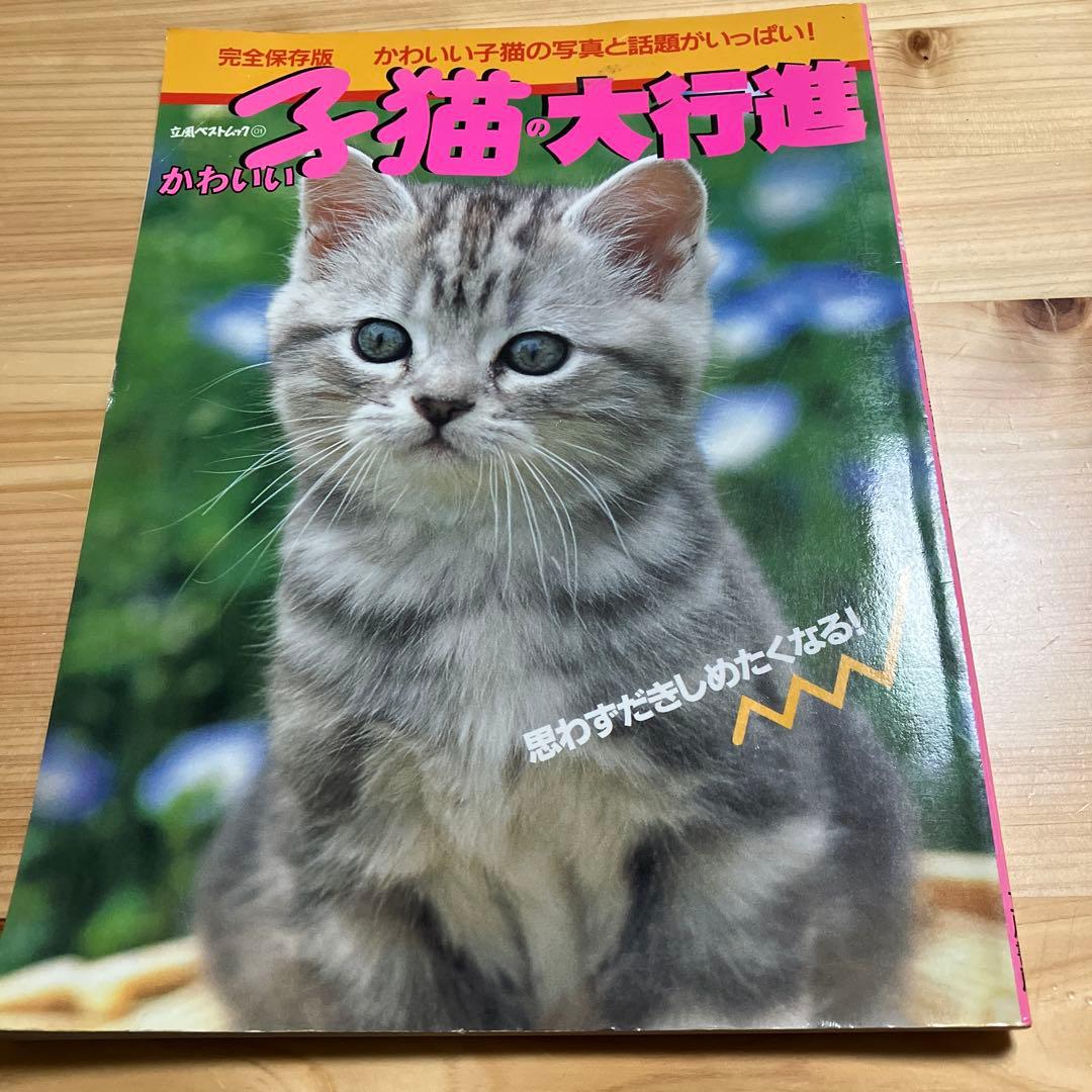 子猫の大行進 写真集