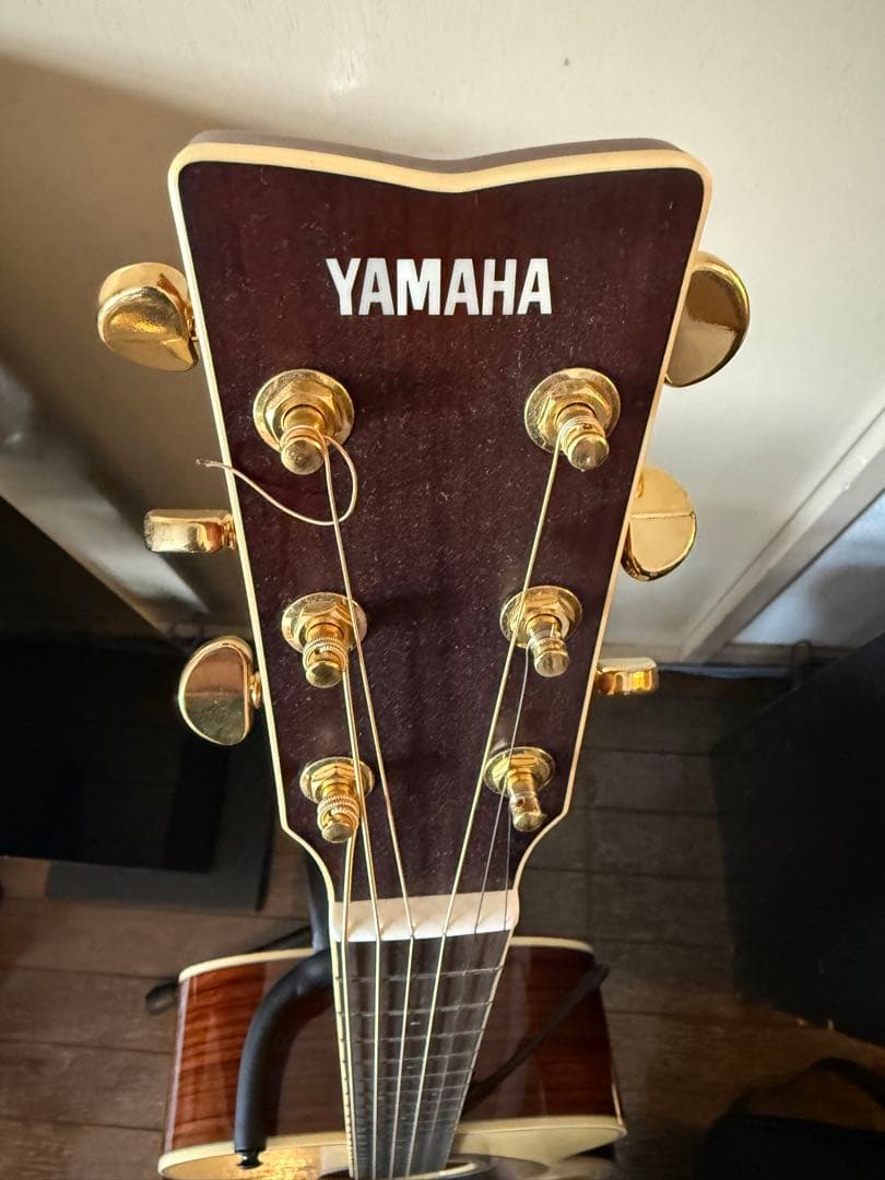 ヤマハ YAMAHA エレアコ LS6 ARE