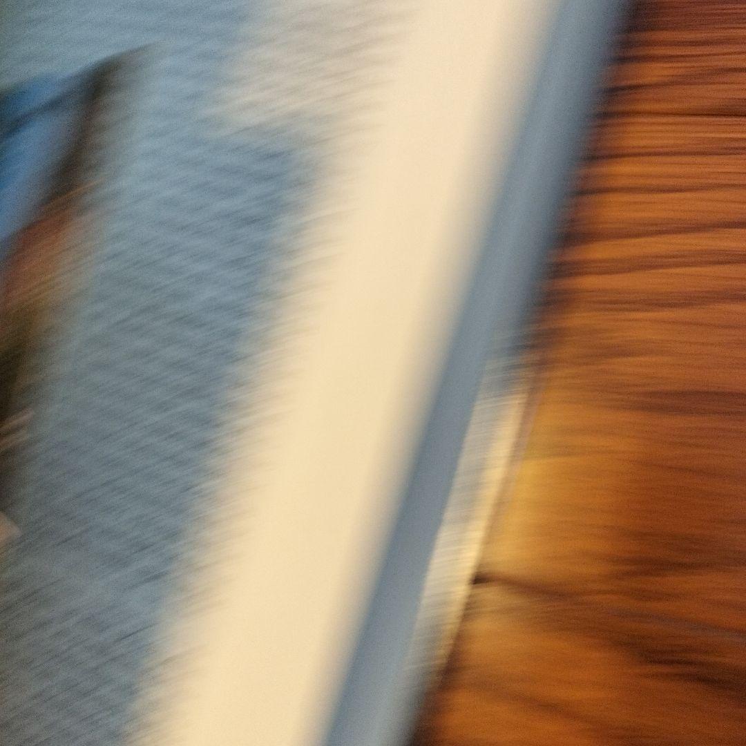 洋書 William Shakespeare E. K. Chambers 1 & 2