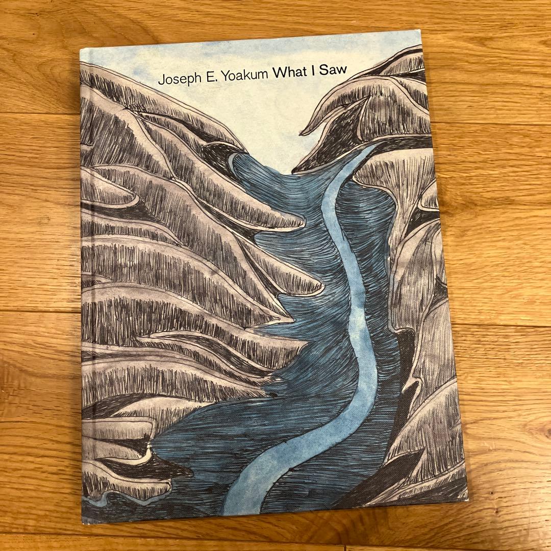 アート・デザイン・音楽 Joseph E. Yoakum What I Saw