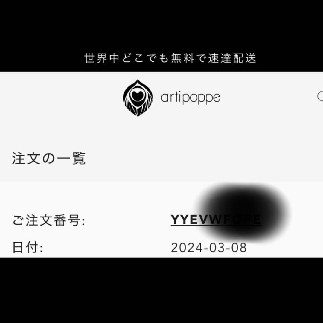 【美品】アーティポッペ　ザイガイストツイードW