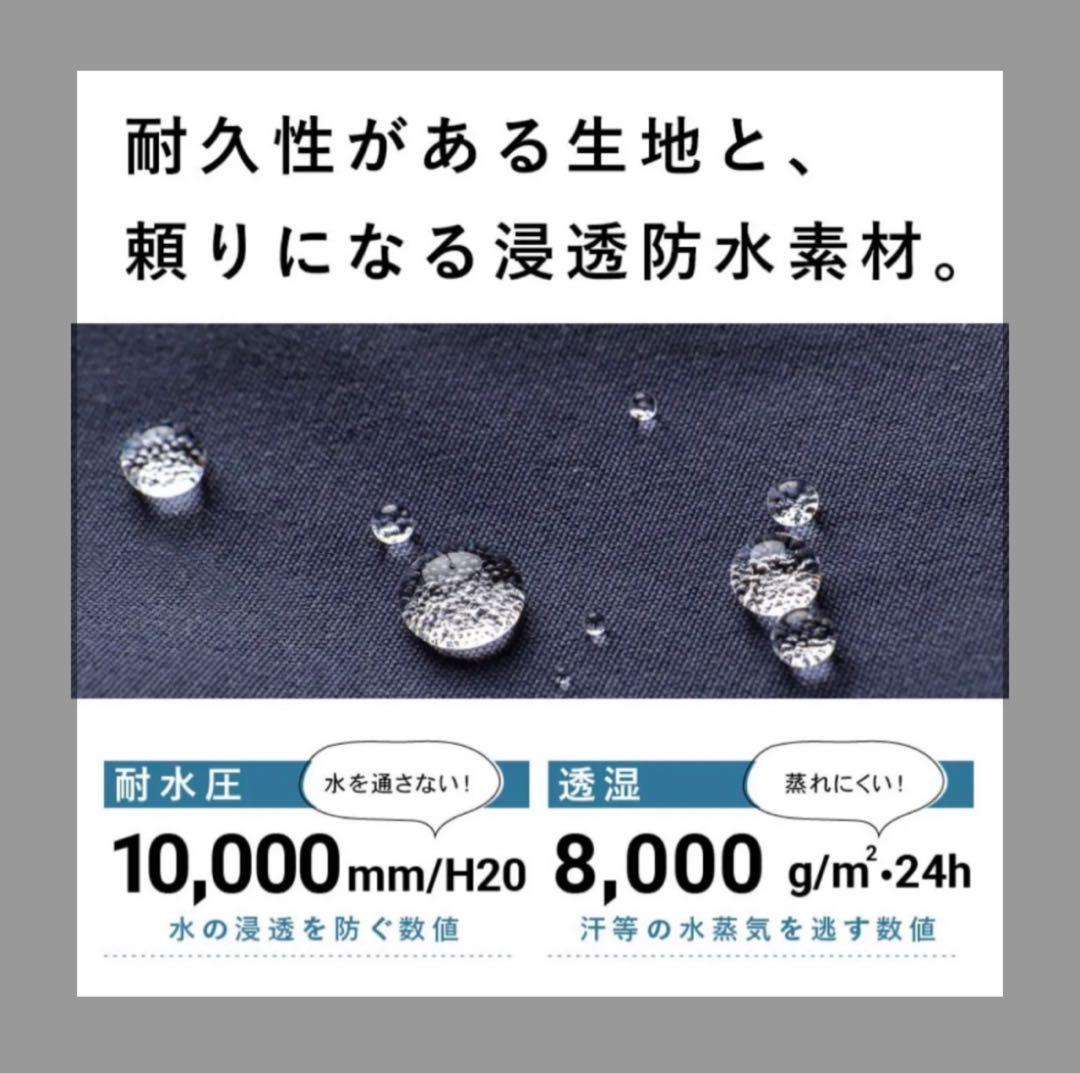 DLITE 43degrees スノーボードパンツ