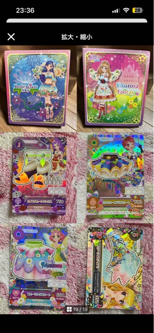 シャムタビー✨