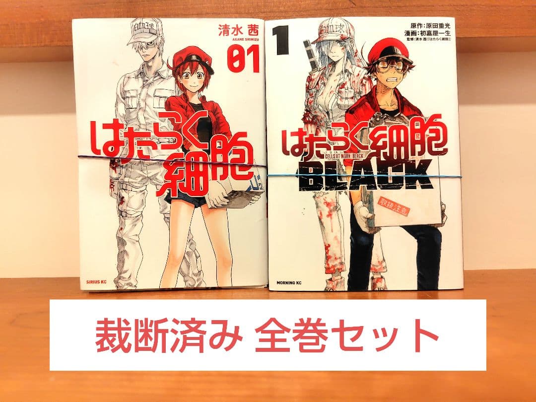 やんな様　まとめ買い出品