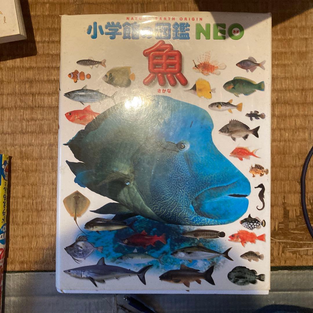 本 図鑑集 小学館 深海シリーズ