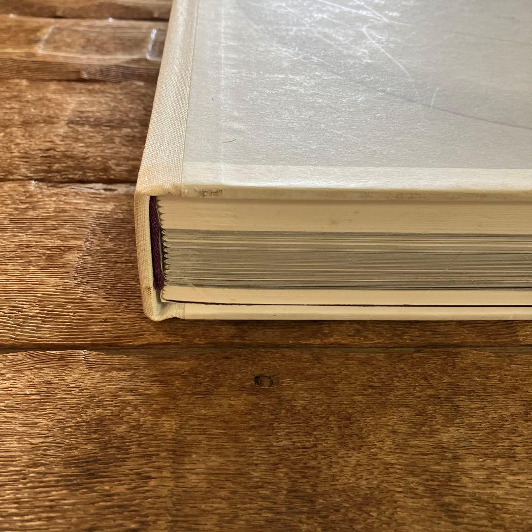 洋書　アート本　アクセル・ヴェルヴォールト