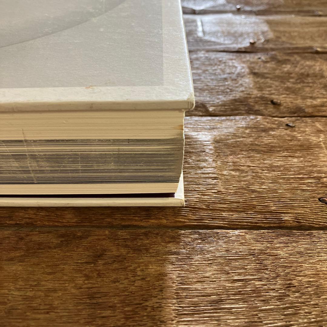 洋書　アート本　アクセル・ヴェルヴォールト