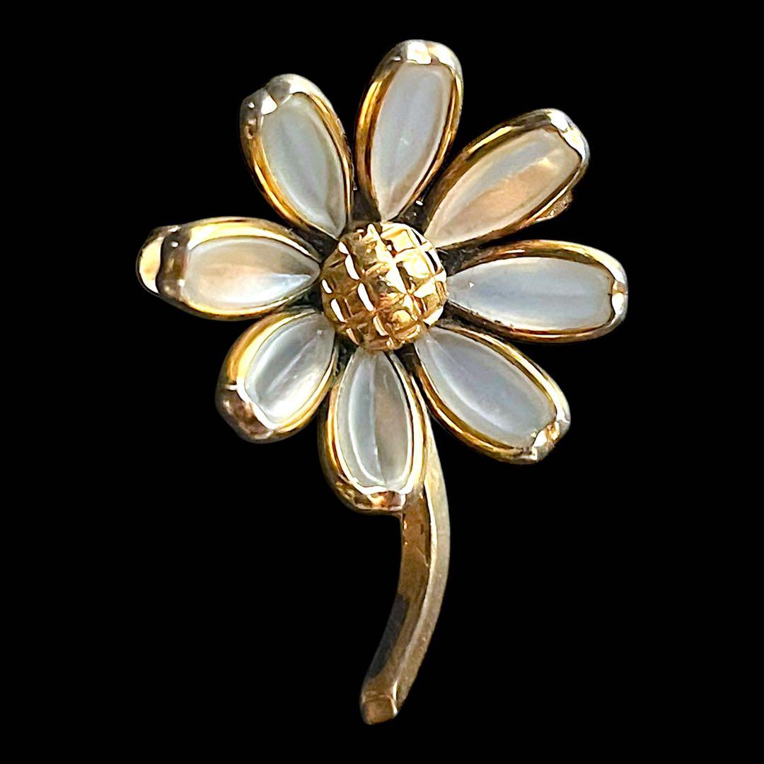 ☆ちょこすけページ☆