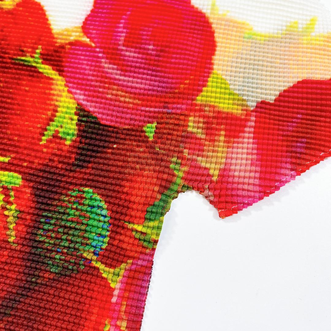 美品 me ISSEY MIYAKE いちご柄 半袖 カットソー ブラウス F