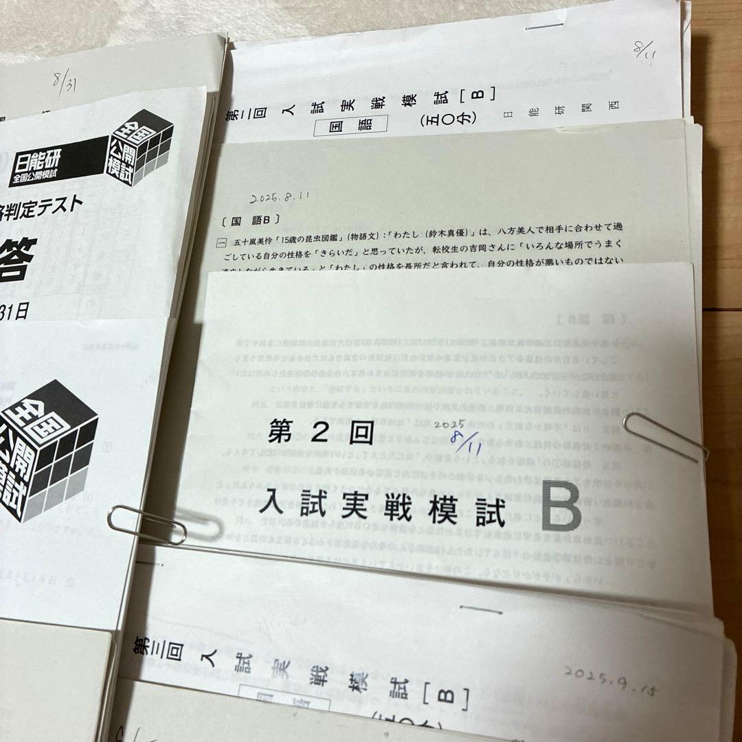 【最新2025年】日能研6年 後期　20回分　公開模試　育成テスト　入試実践模試