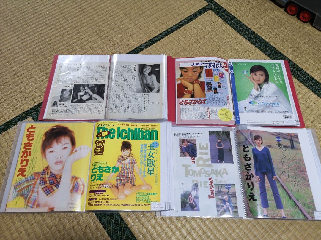 ともさかりえ(1冊200円計算)81冊分209ページ切り抜きしファイリング済み