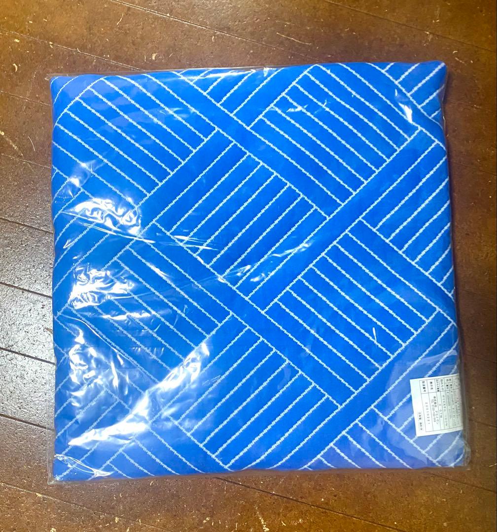 【新品未使用】　インベル　Invel 座布団　マット　mig3 アライブン