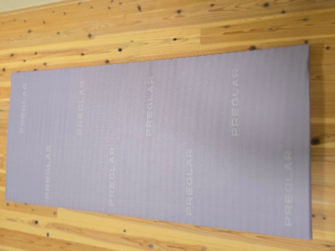 パラマウント プレグラーマットレス KE-551