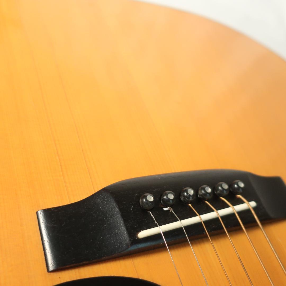 Morris W-28 アコースティックギター