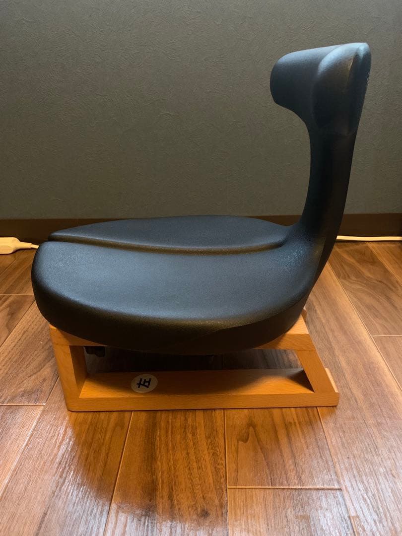 ayur chair medical seat アーユルチェア　座椅子
