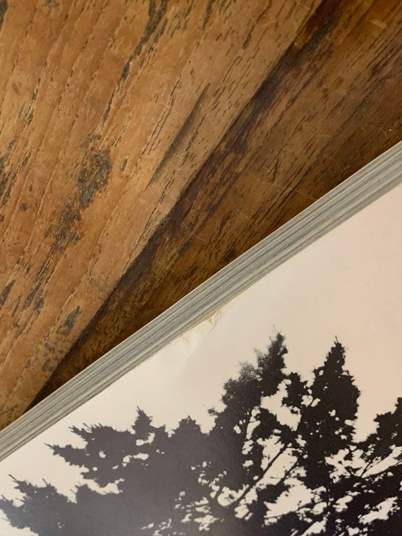 森山大道　Hysteric Vol.4 Daido 1993年　初版本